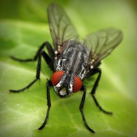 /album/rznsqp/photolia-a01-jpg/