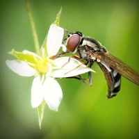 /album/rznsqp/photolia-a02-jpg/