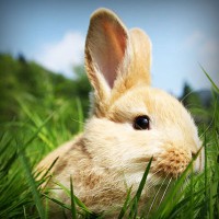 /album/rznsqp/photolia-a03-jpg/