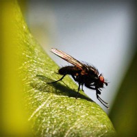 /album/rznsqp/photolia-a04-jpg/