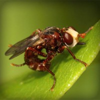 /album/rznsqp/photolia-a06-jpg/