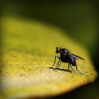 /album/rznsqp/photolia-a07-jpg/